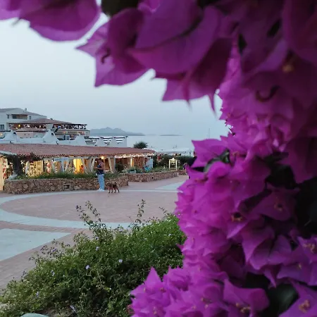 Apartment Seaside Costa Smeralda Sardinia - 200 M From Smeraldo Baja Sardinia
