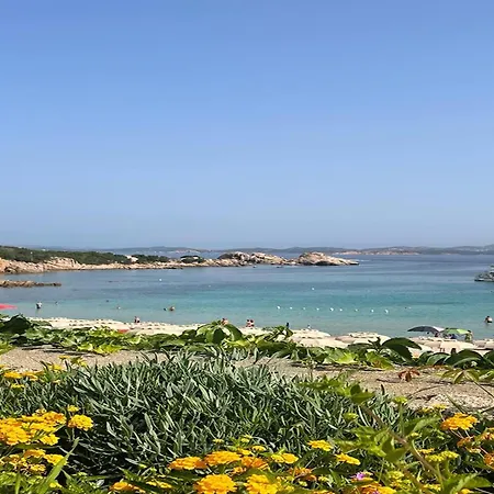Seaside Costa Smeralda Sardinia - 200 M From Smeraldo Apartment