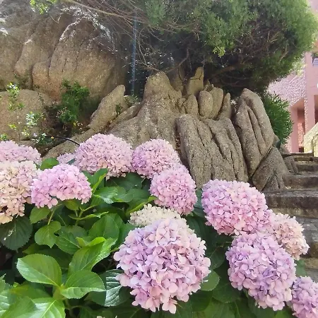 Seaside - Rent From August 8, 2026, To August 29, 2026 Apartamento