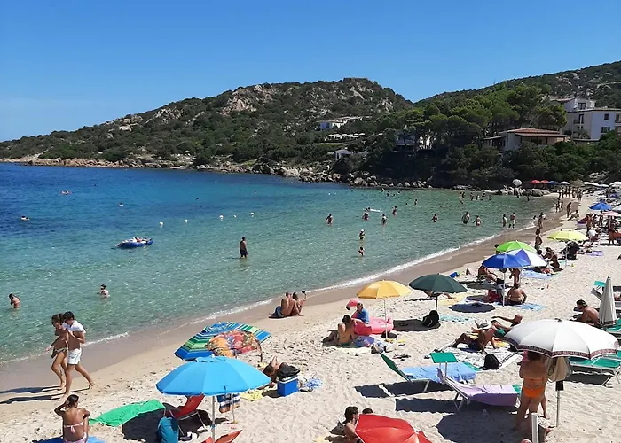 Seaside - Rent From August 8, 2026, To August 29, 2026 Baja Sardinia